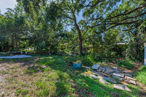 Backyard4