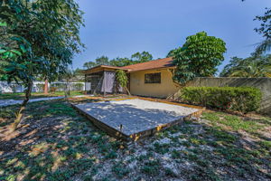 Backyard10