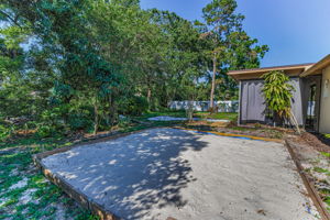 Backyard11