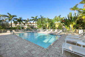 Community Pool 2 (1/2)