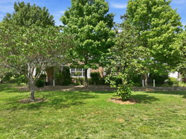 Photo 0