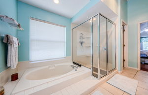 Master Bathroom 1b