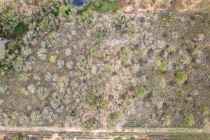 Photo 50