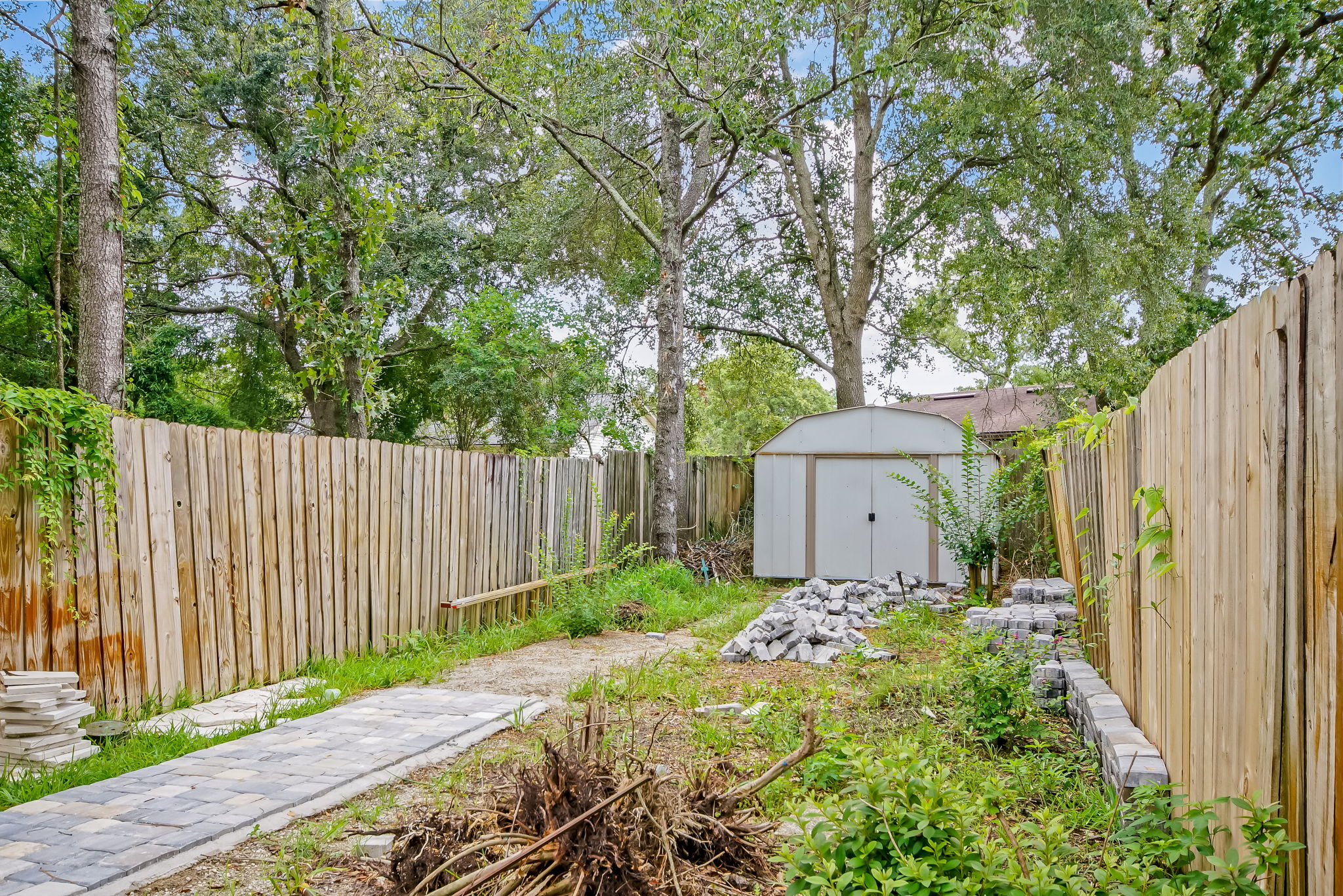 Back Yard