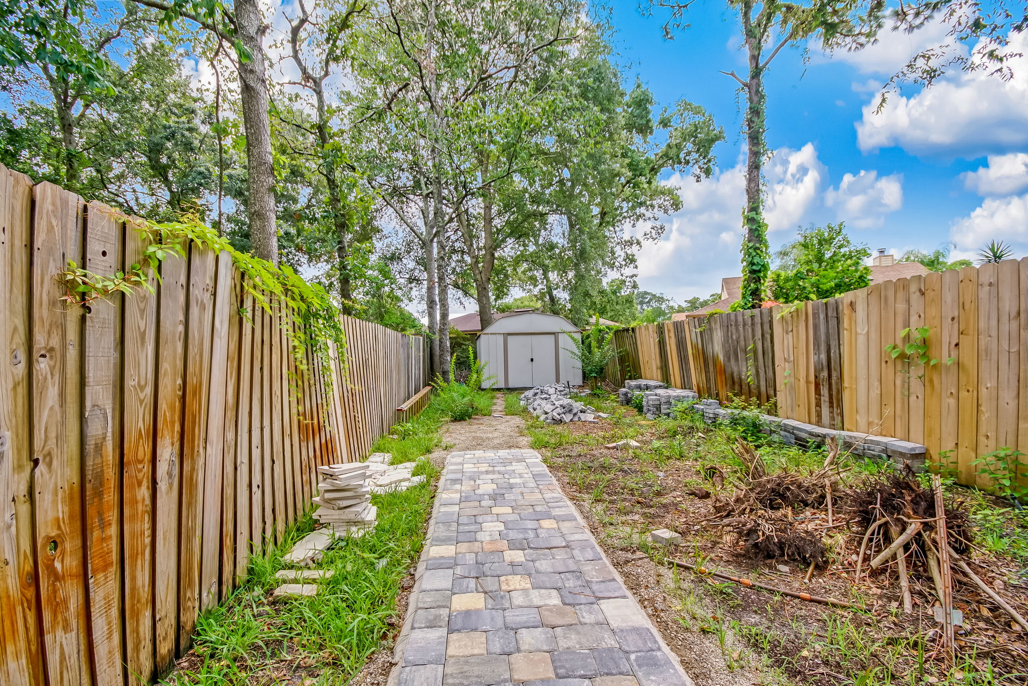 Back Yard