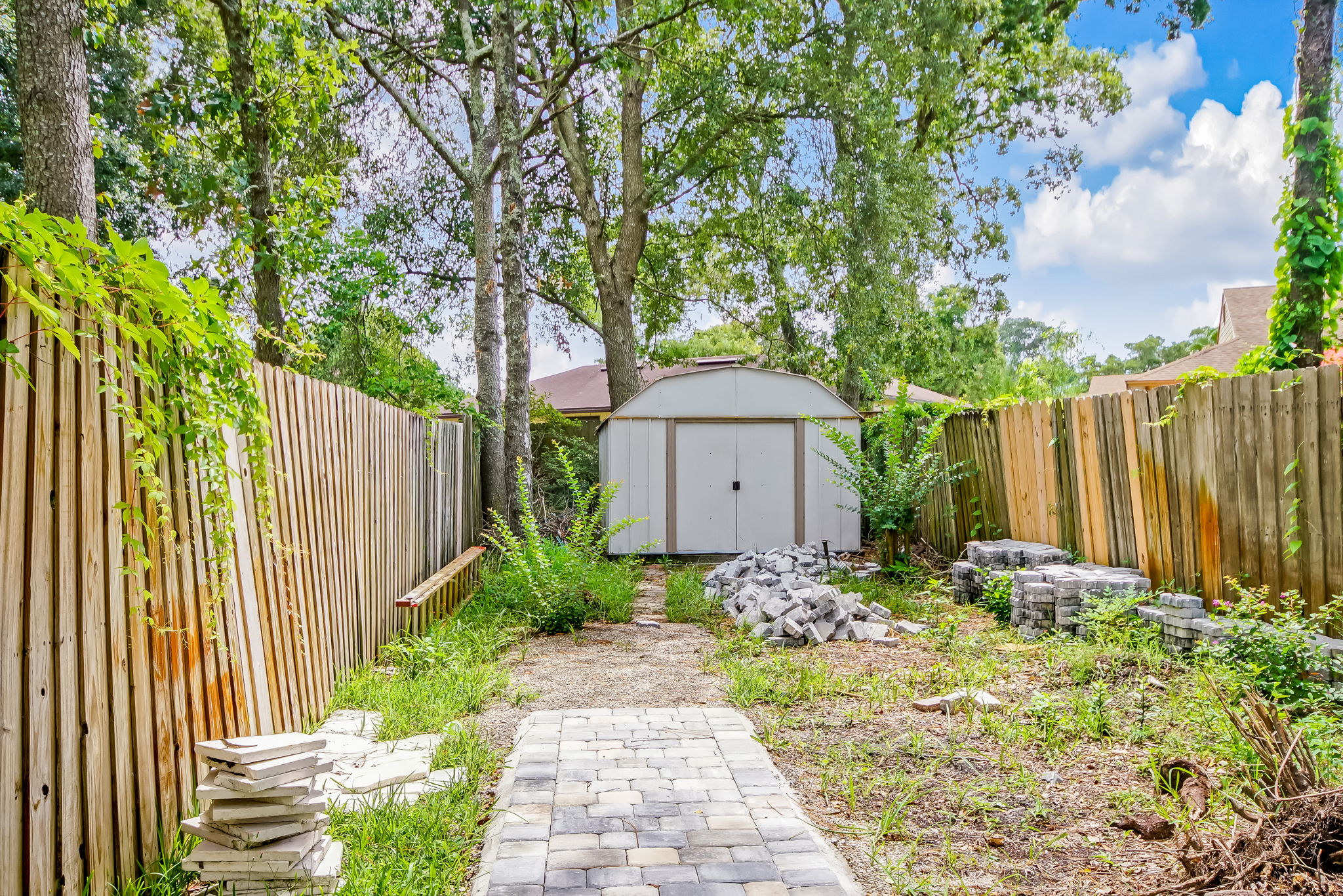 Back Yard