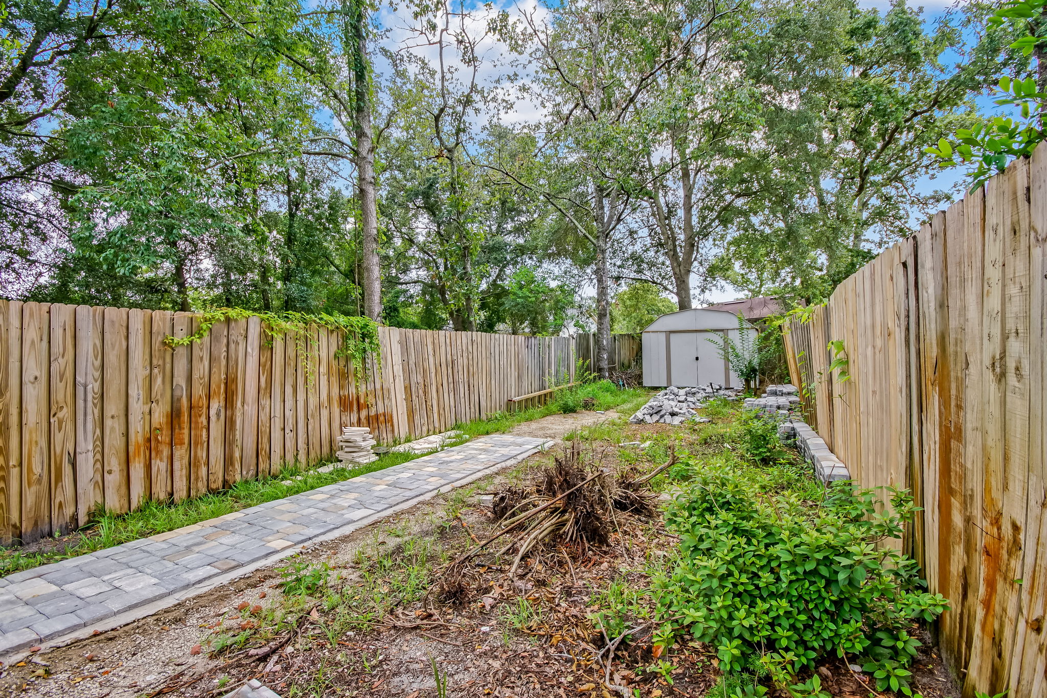 Back Yard