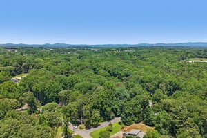 Richmond Rd-S1406-061.jpg
