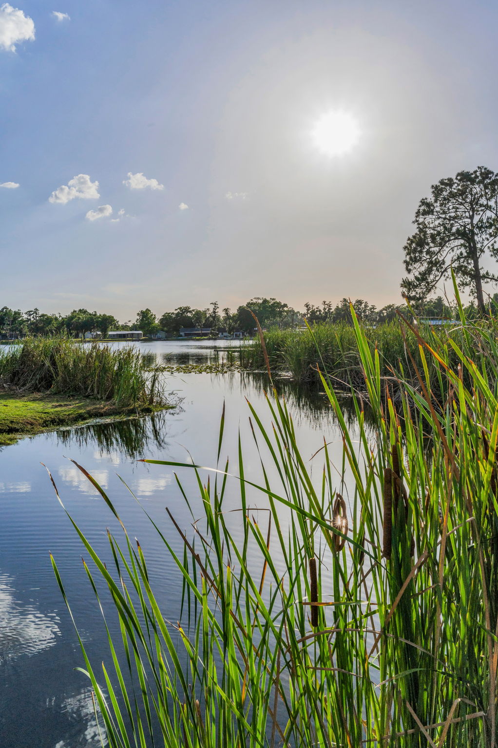 8-Lake Padgett Park