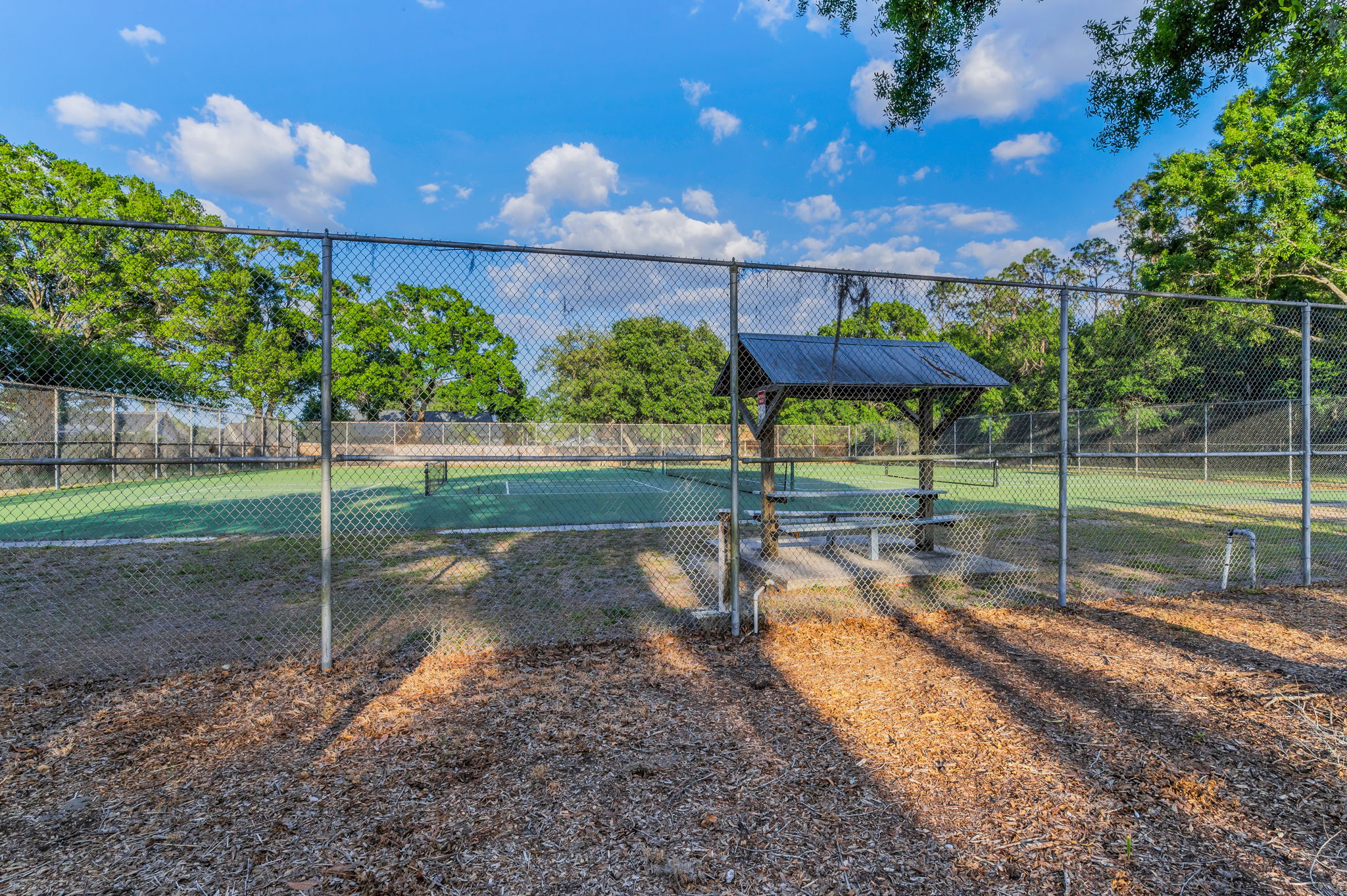 35-Lake Padgett Park