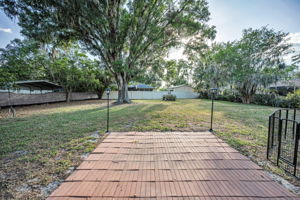 Backyard2