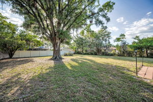 Backyard3