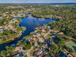 Aerial (18)