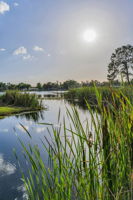 8-Lake Padgett Park