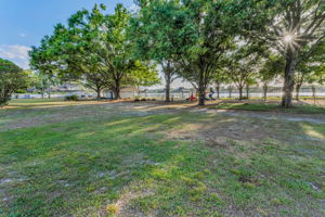 12-Lake Padgett Park