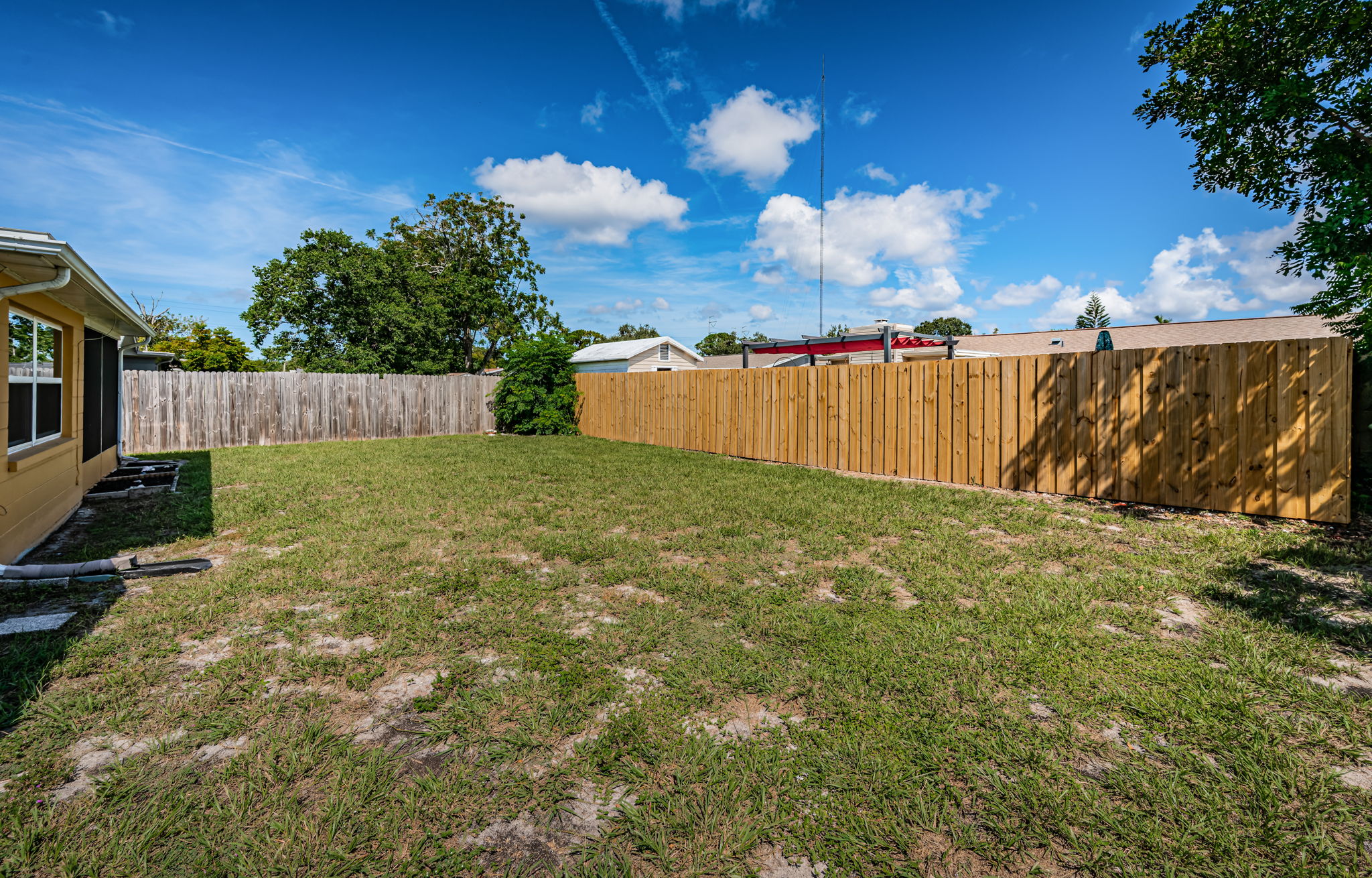 Backyard1