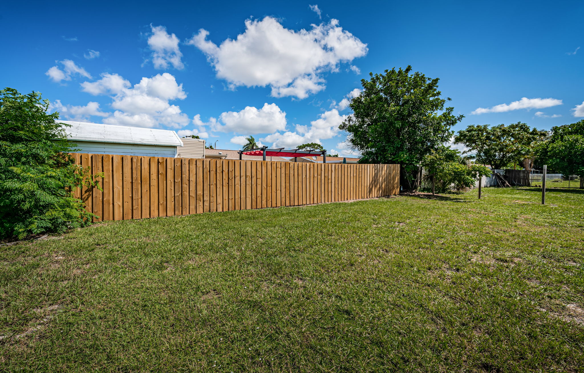 Backyard2