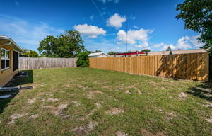 Backyard1