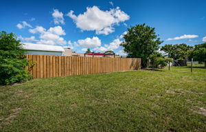 Backyard2