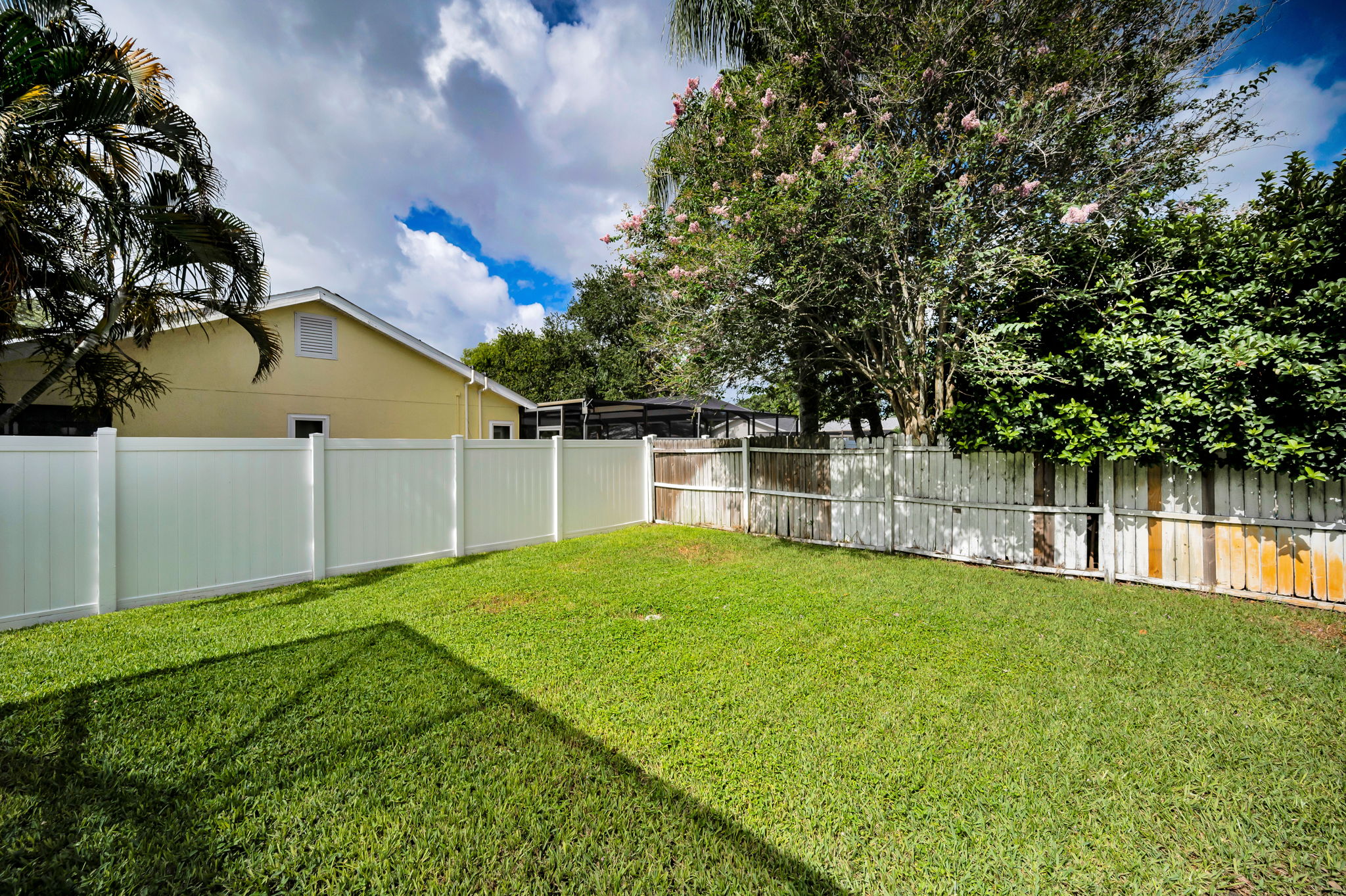 Backyard1