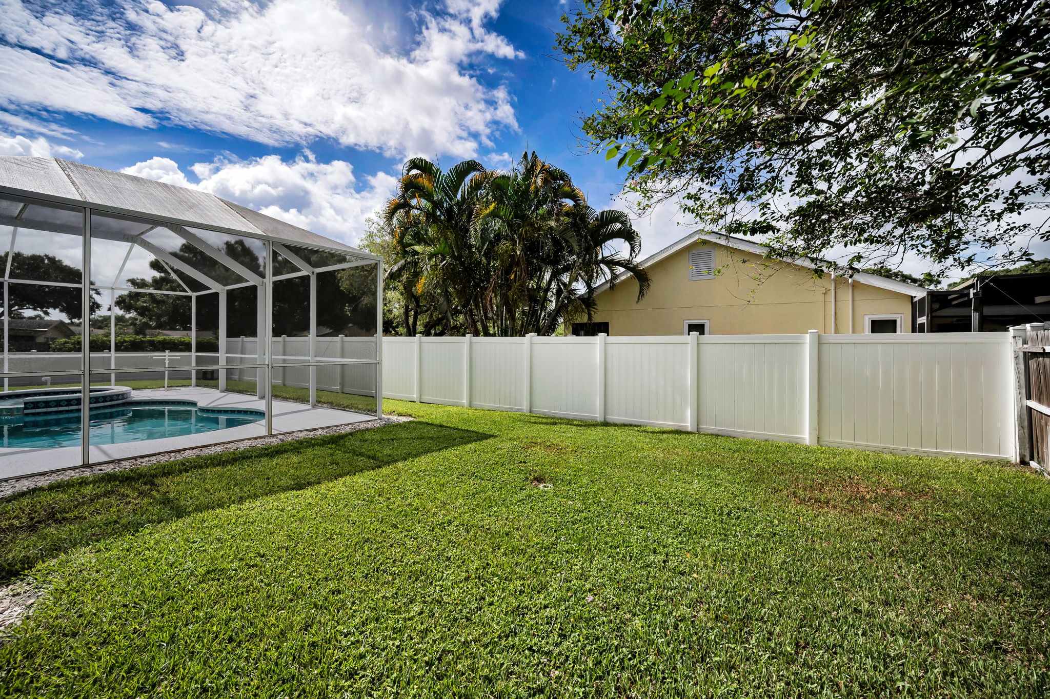Backyard2