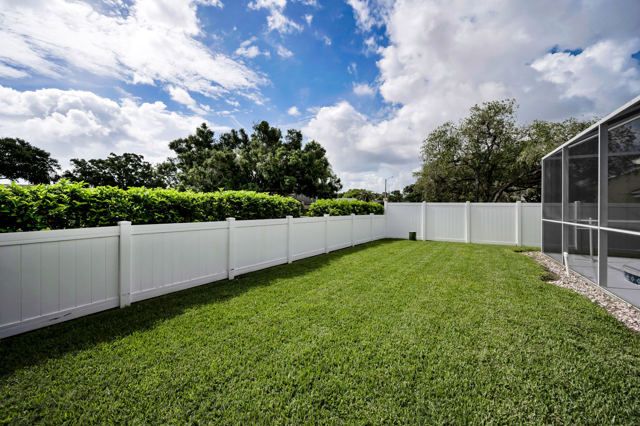 Backyard7