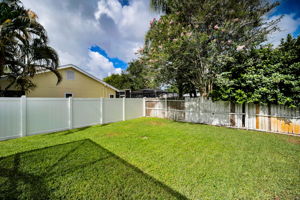 Backyard1
