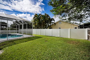 Backyard2