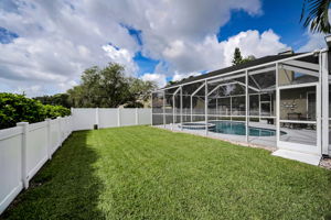 Backyard6