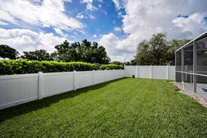 Backyard7
