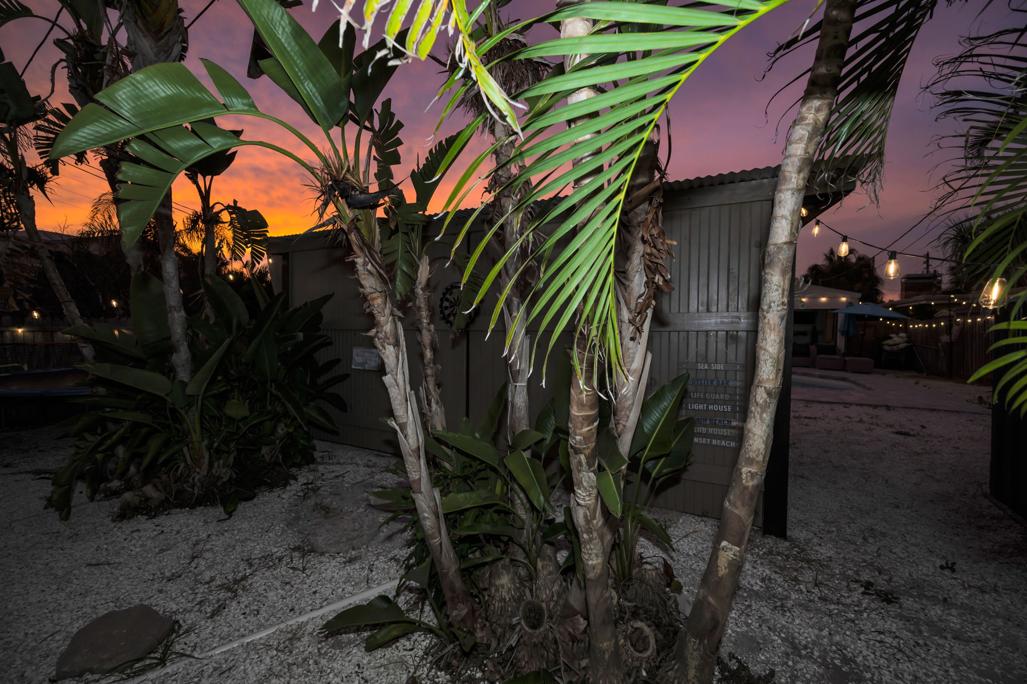 Backyard10