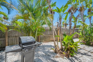 Backyard1