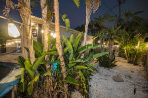 Backyard18