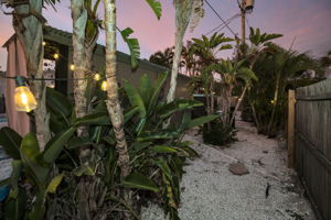 Backyard12