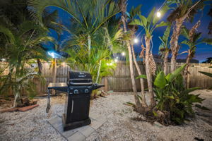 Backyard15
