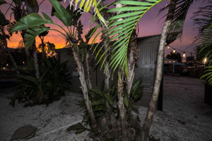 Backyard10