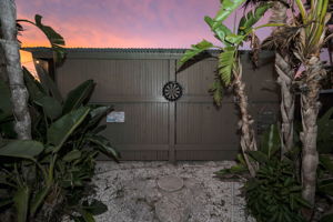 Backyard11