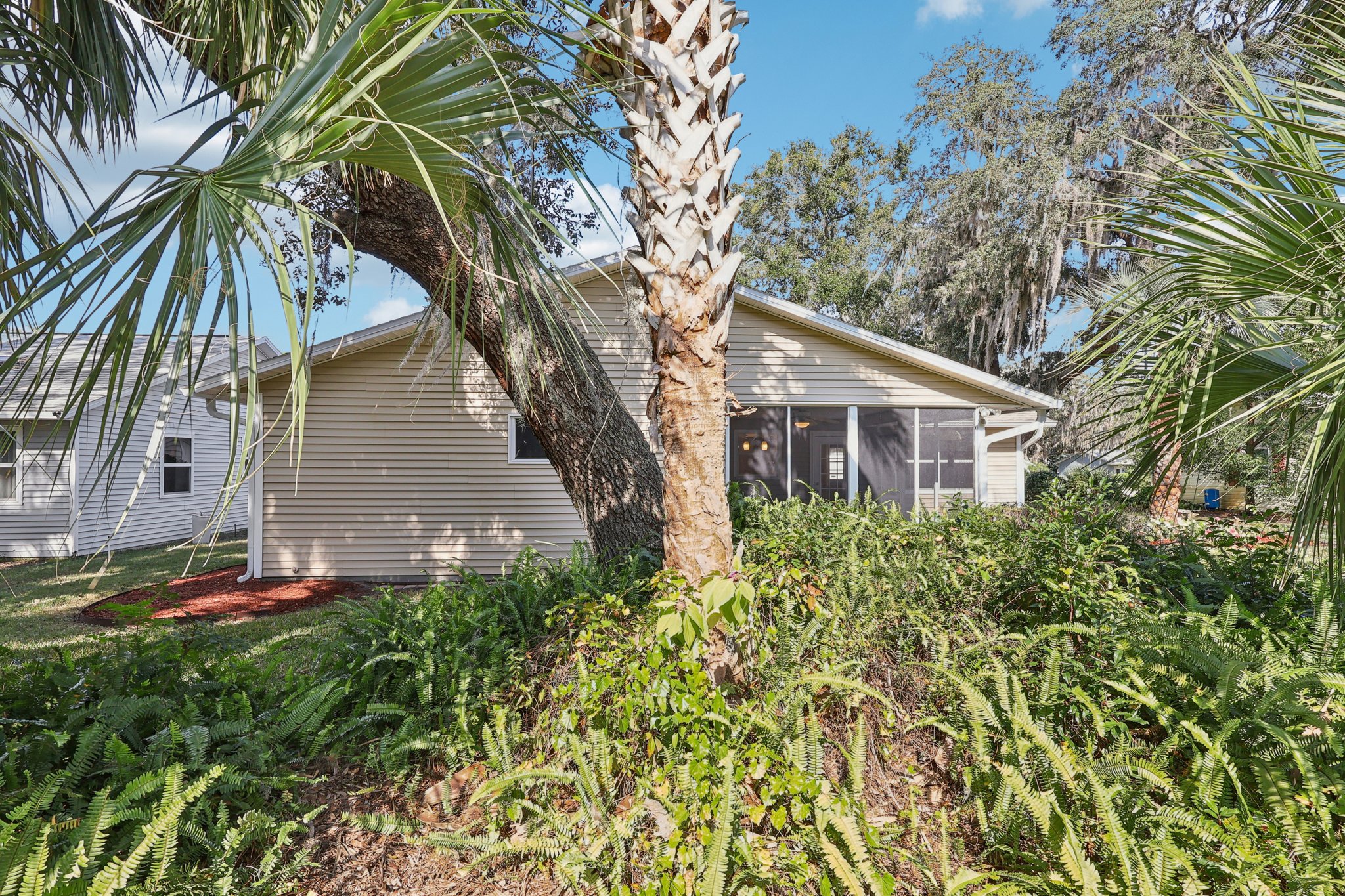 Brigadoon Cir-S2511-037.jpg