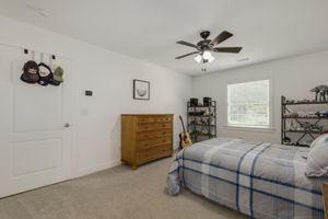  Photo 41