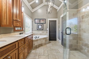 Owners Bathroom