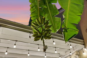 035_F8_TWILIGHT_3056 Dante Ct