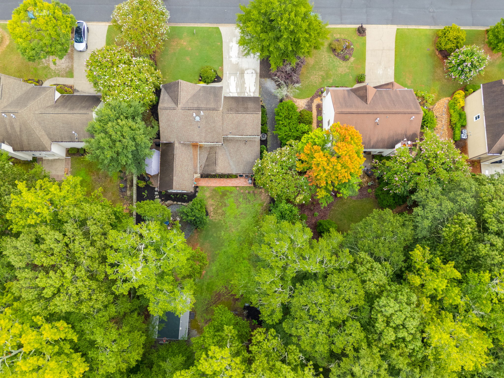mppmedia3057hallmancir45