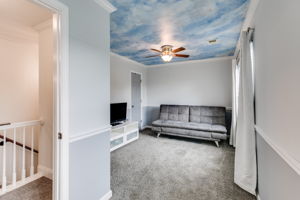 mppmedia3057hallmancir28