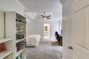 mppmedia3057hallmancir29