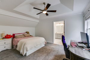 mppmedia3057hallmancir30