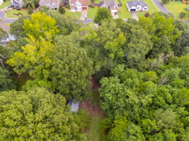 mppmedia3057hallmancir44