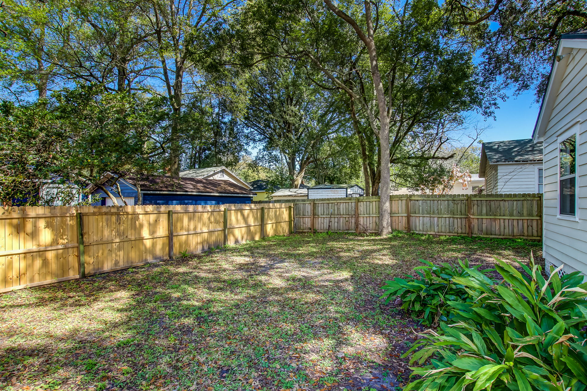 Backyard