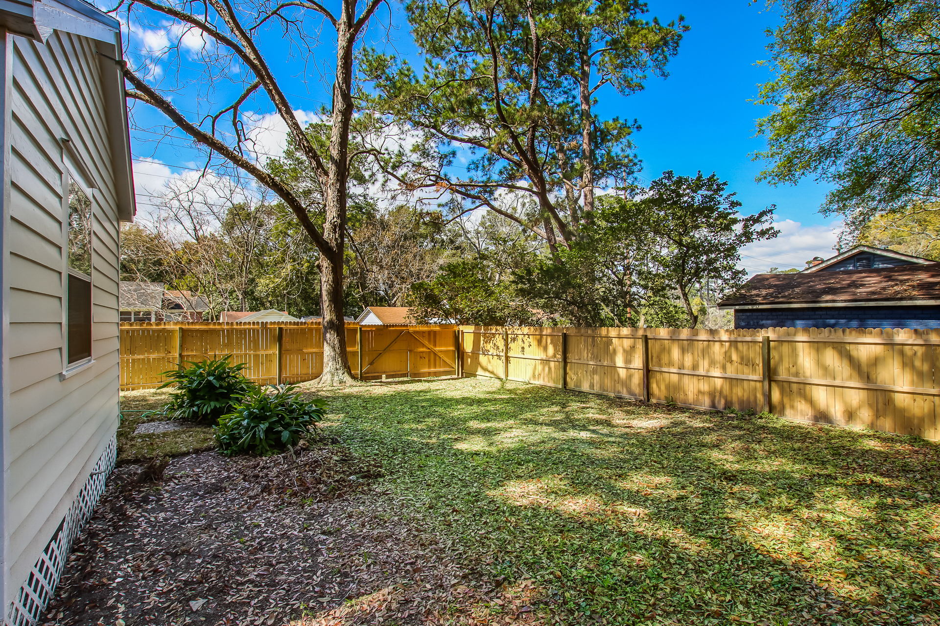 Backyard