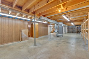  Photo 51