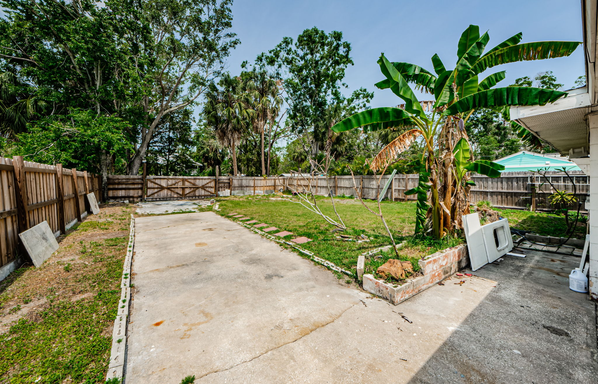 Backyard 1